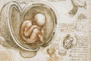 The destruction of the books and sketches of Leonardo da Vinci